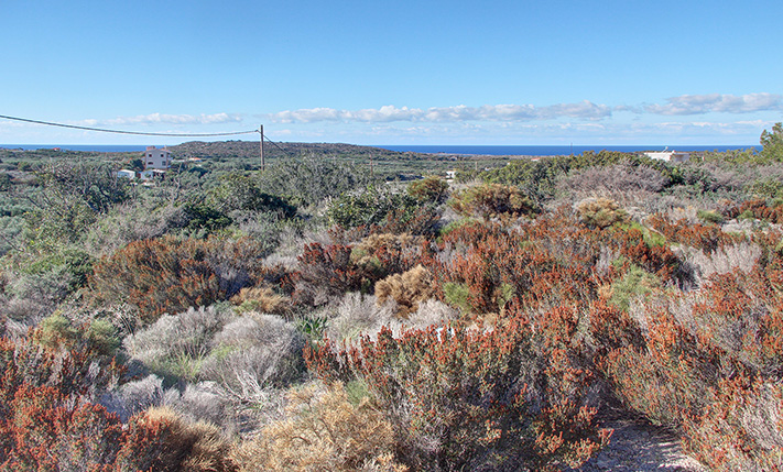 READY-TO-BUILD SURROUNDED BY MODERN HOUSES