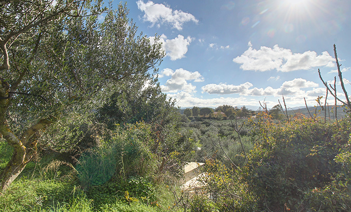 DIRECT HIGHWAY ACCESS & AMONG THE OLIVE GROVES