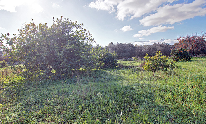 ΕΠΑΓΓΕΛΜΑΤΙΚΟ ΜΕΓΕΘΟΣ ΣΤΟ ΚΕΝΤΡΟ ΤΟΥ ΒΑΜΟΥ