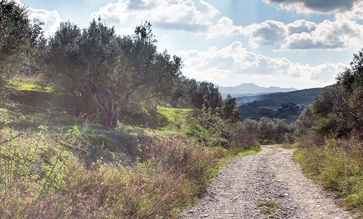 BUILD YOUR HOUSE ON THE TOP WITH 270° SEA VIEWS