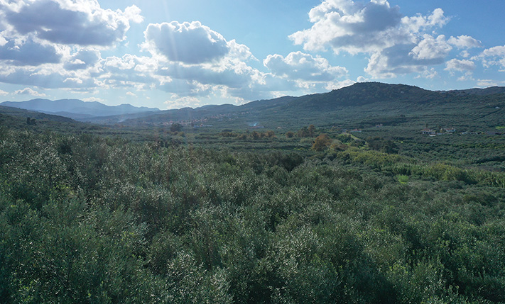 BUILD YOUR HOUSE ON THE TOP WITH 270° SEA VIEWS