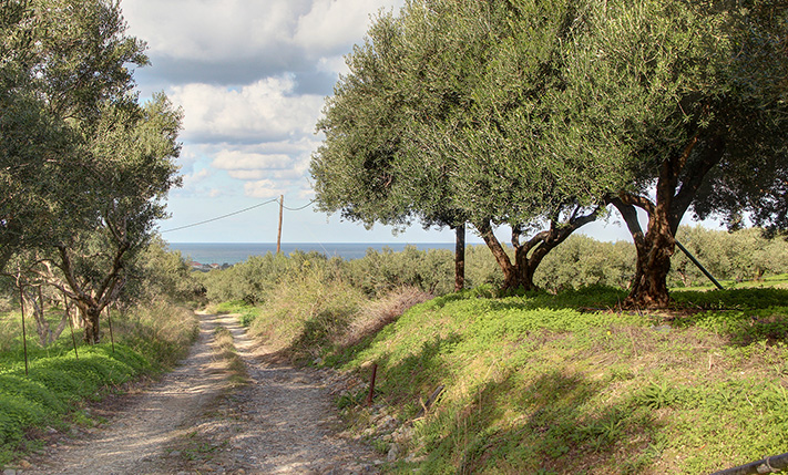 ΚΑΛΟ ΣΧΗΜΑ ΚΑΙ ΕΞΑΙΡΕΤΙΚΗ ΔΥΤΙΚΗ ΚΛΙΣΗ