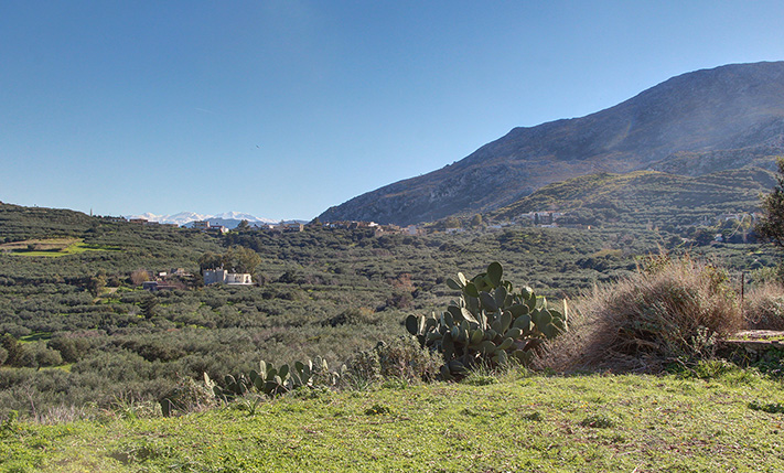 ΣΕ ΗΣΥΧΗ ΑΓΡΟΤΙΚΗ ΓΕΙΤΟΝΙΑ ΝΟΤΙΑ ΤΗΣ ΚΙΣΣΑΜΟΥ