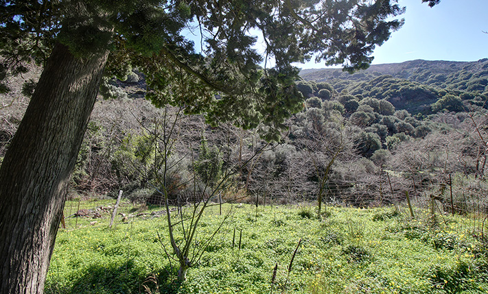SERENE PLOT WITH THE SOUND OF FLOWING WATER