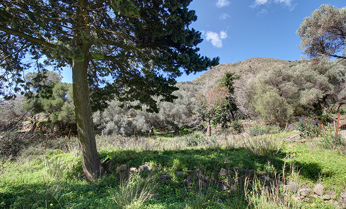 SERENE PLOT WITH THE SOUND OF FLOWING WATER