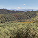 PLS2246 - image 7 PLS2246 - image 7