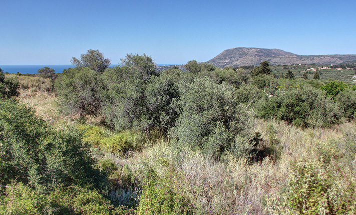 ΕΤΟΙΜΗ ΑΔΕΙΑ, ΕΝΑ ΑΛΩΝΙ ΚΑΙ ΕΡΕΙΠΩΜΕΝΟ ΚΤΙΣΜΑ
