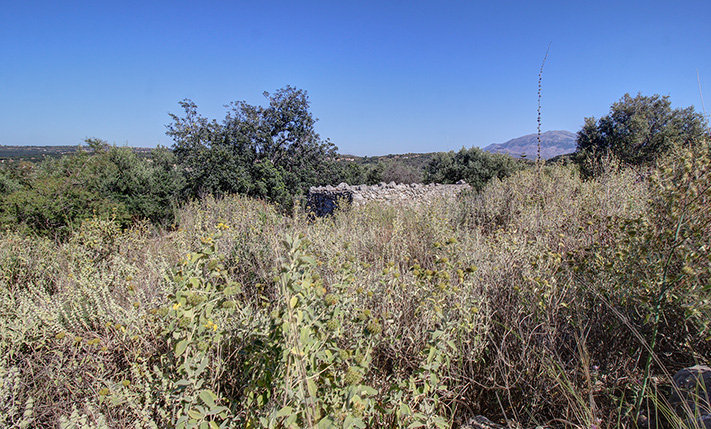 ΕΤΟΙΜΗ ΑΔΕΙΑ, ΕΝΑ ΑΛΩΝΙ ΚΑΙ ΕΡΕΙΠΩΜΕΝΟ ΚΤΙΣΜΑ