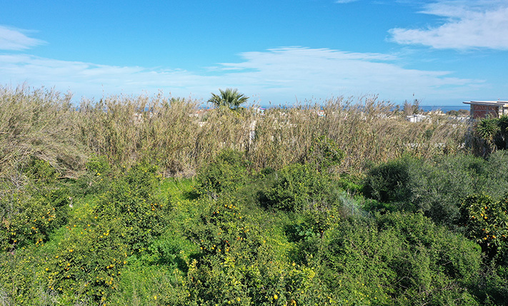 PERMIT-READY LAND WITH A MODERN HOUSE DESIGN
