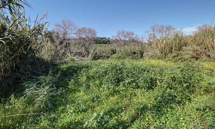 ΕΥΦΟΡΟ ΕΔΑΦΟΣ ΔΙΠΛΑ ΣΕ ΡΕΜΑ