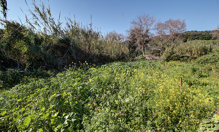 ΕΥΦΟΡΟ ΕΔΑΦΟΣ ΔΙΠΛΑ ΣΕ ΡΕΜΑ