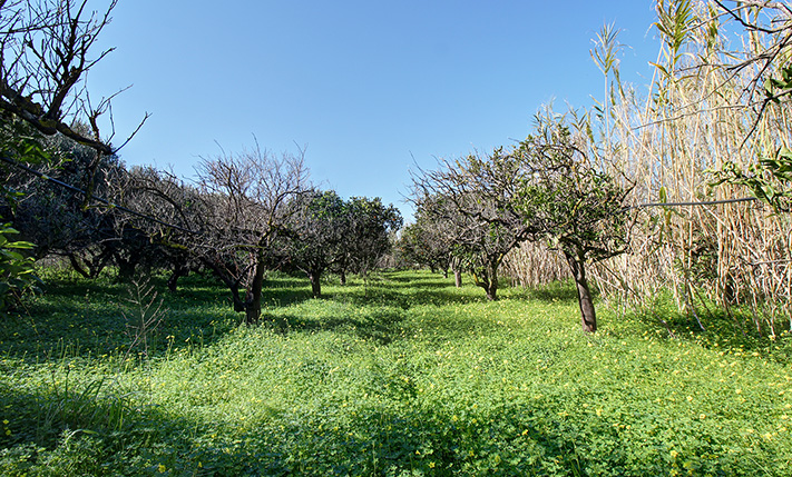 ΕΠΕΝΔΥΣΤΕ ΣΕ ΖΩΝΗ ΕΠΕΚΤΑΣΗΣ ΣΧΕΔΙΟΥ