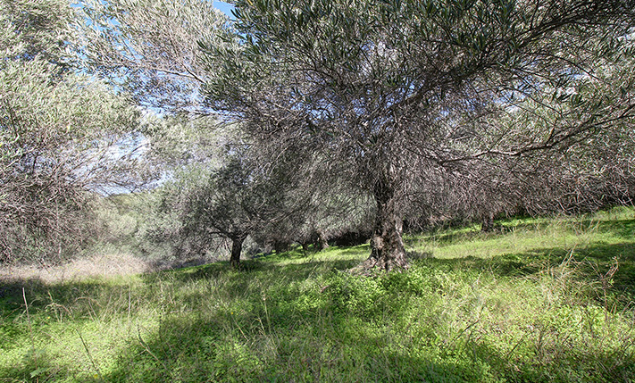 ON A RIDGE WITH SOUTH & NORTH FACING VIEWS