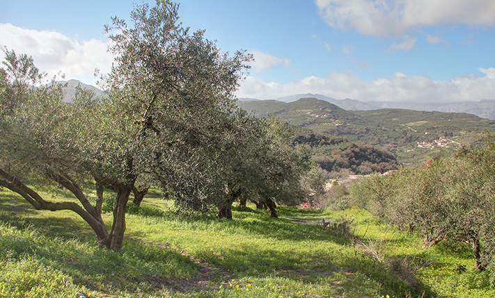 ΔΙΑΣΦΑΛΙΣΜΕΝΗ ΘΕΑ & ΗΣΥΧΙΑ