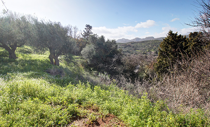 ΔΙΑΣΦΑΛΙΣΜΕΝΗ ΘΕΑ & ΗΣΥΧΙΑ