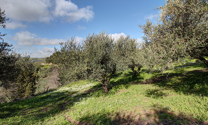 SECURED PANORAMIC VIEWS & TRANQUILITY