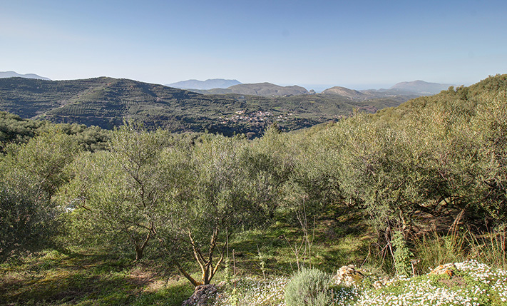 ΕΞΑΣΦΑΛΙΣΜΕΝΗ ΔΟΜΗΣΗ & ΠΑΝΟΡΑΜΙΚΗ ΘΕΑ