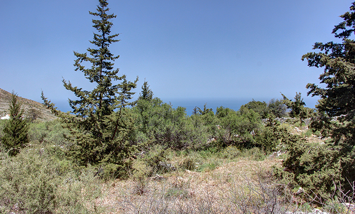 CONSTRUCTION-READY PLOT IN A TOP-NOTCH LOCATION