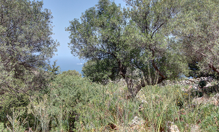 ΜΕ ΕΤΟΙΜΗ ΑΔΕΙΑ ΣΕ ΜΟΝΑΔΙΚΗ ΤΟΠΟΘΕΣΙΑ