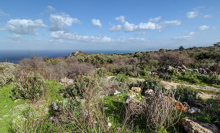 2 ΑΝΑΒΑΘΜΙΔΕΣ ΜΕ ΒΟΡΕΙΟΑΝΑΤΟΛΙΚΗ ΘΕΑ ΘΑΛΑΣΣΑ
