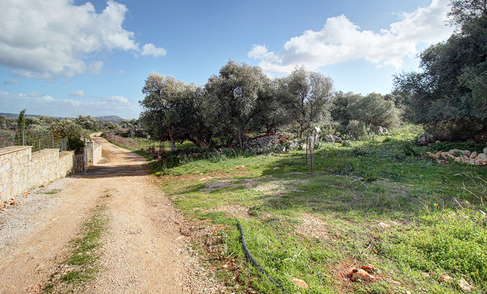 ΘΕΑ ΣΕ ΒΟΥΝΟ & ΘΑΛΑΣΣΑ ΑΠΟ ΕΚΤΑΣΗ ΣΤΗ ΦΥΣΗ