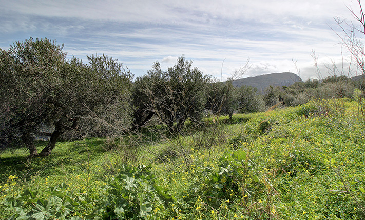 ΜΙΚΡΟ ΧΩΡΑΦΙ ΜΕ ΘΕΑ ΣΕ ΔΡΟΜΟ ΜΕ ΚΙΝΗΣΗ