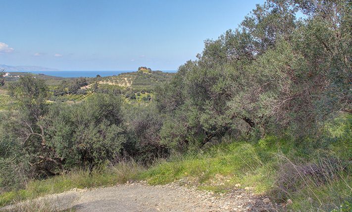 A SLOPE WITH A DESIGNATED ACCESS ROAD