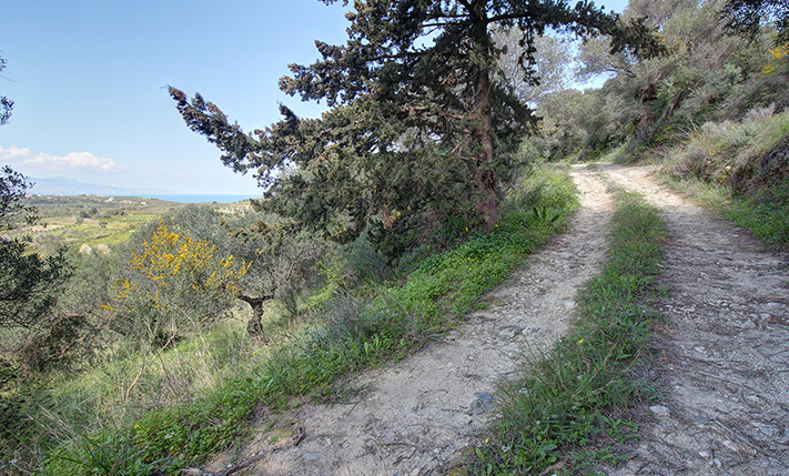 A SLOPE WITH A DESIGNATED ACCESS ROAD
