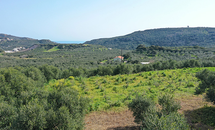 ΚΟΝΤΑ ΣΕ ΚΟΜΒΟ ΤΟΥ ΒΟΑΚ ΜΕ ΘΕΑ ΘΑΛΑΣΣΑ