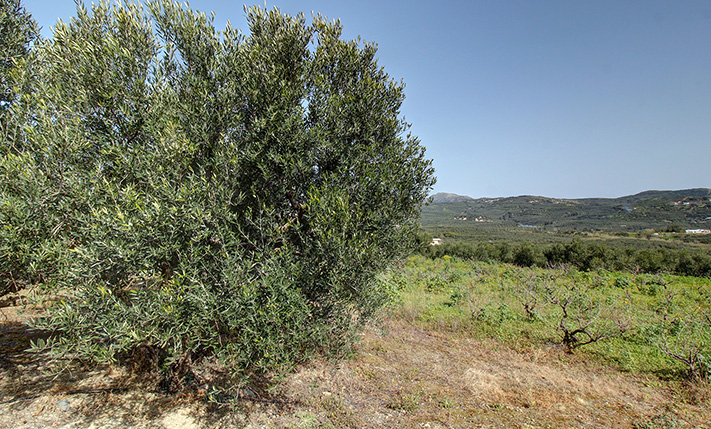 CLOSE TO AN INTERCHANGE WITH SEA VIEWS