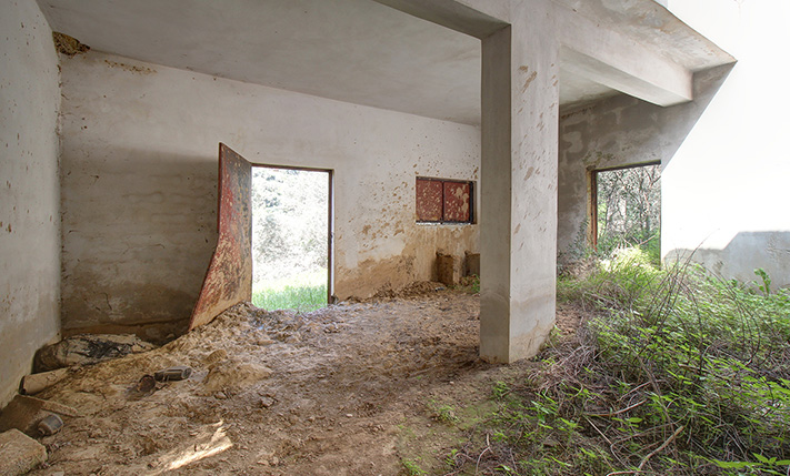 ΜΙΑ ΚΟΡΥΦΗ ΛΟΦΟΥ ΜΕΣΑ ΣΤΟΥΣ ΕΛΑΙΩΝΕΣ