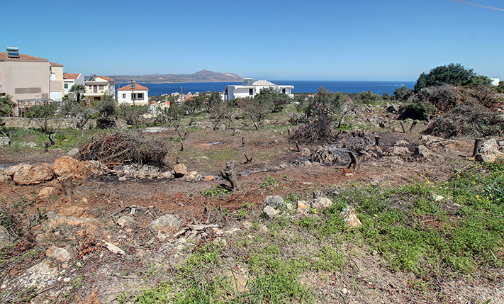 ΜΕΓΑΛΗ ΠΡΟΣΟΨΗ & ΥΨΗΛΗ ΔΟΜΗΣΗ