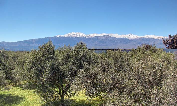 UNOBSTRUCTED MOUNTAIN VIEWS AT THE VILLAGE FRINGE