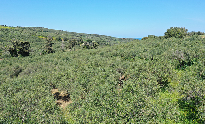 ΚΑΛΟ ΣΧΗΜΑ, ΗΠΙΑ ΚΛΙΣΗ & ΘΕΑ ΑΠΟ ΤΟΝ ΟΡΟΦΟ