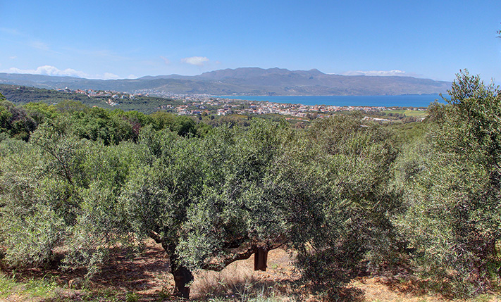 PLS2258 - εικόνα #1