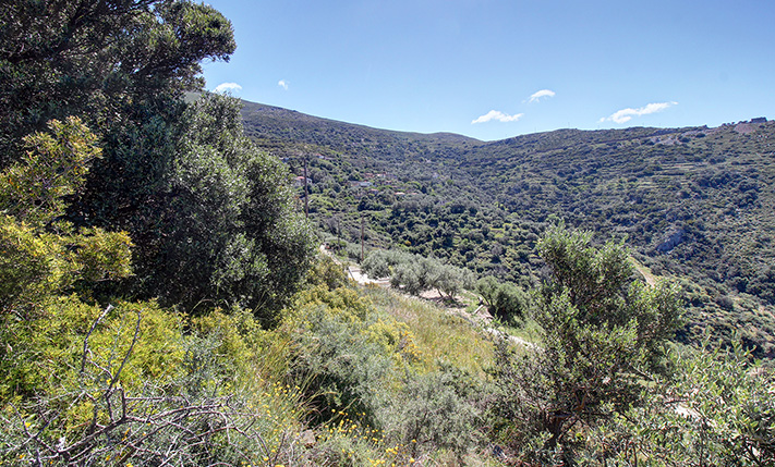 SQUARE PLOT WITH UNOBSTRUCTED SEA VIEWS