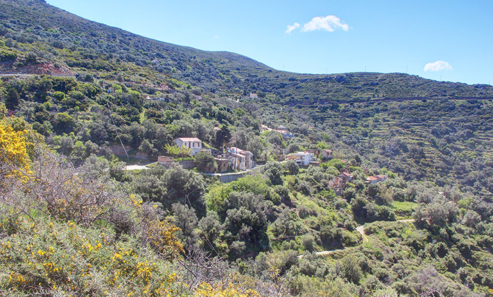 ΟΙΚΟΠΕΔΟ ΓΙΑ ΥΠΟΣΚΑΦΗ ΟΙΚΙΑ ΜΕ ΜΟΝΑΔΙΚΗ ΘΕΑ