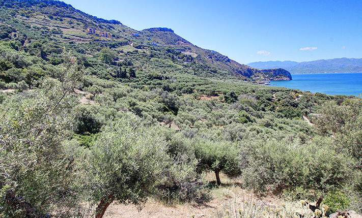 ΜΟΝΑΔΙΚΟ ΟΙΚΟΠΕΔΟ ΣΤΗ ΦΥΣΗ & ΚΟΝΤΑ ΣΤΗ ΘΑΛΑΣΣΑ