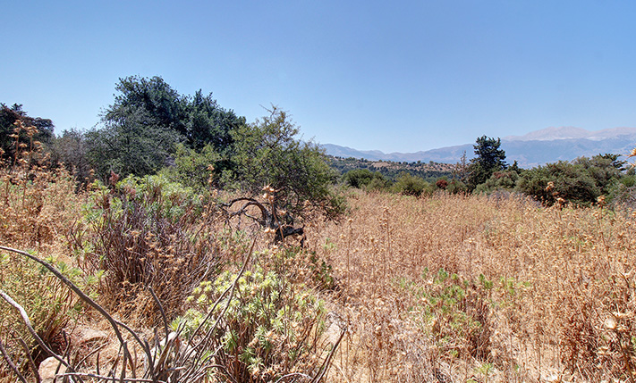 FLACHES ACKERLAND MIT BERGBLICK