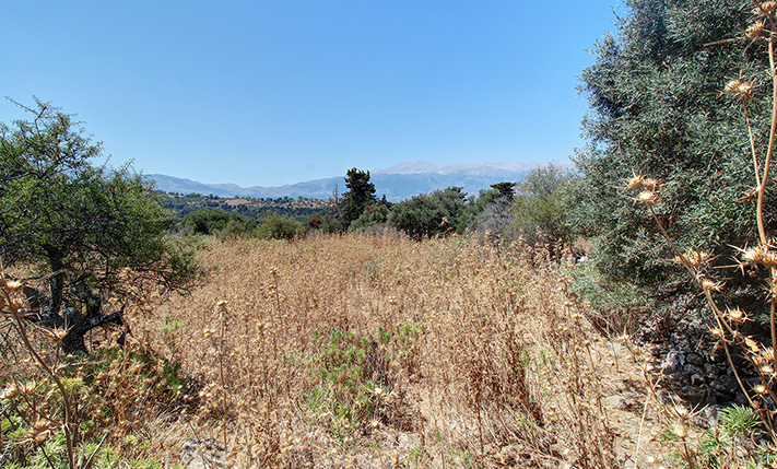 ΕΠΙΠΕΔΗ ΑΓΡΟΤΙΚΗ ΕΚΤΑΣΗ ΜΕ ΘΕΑ ΣΤΑ ΛΕΥΚΑ ΟΡΗ
