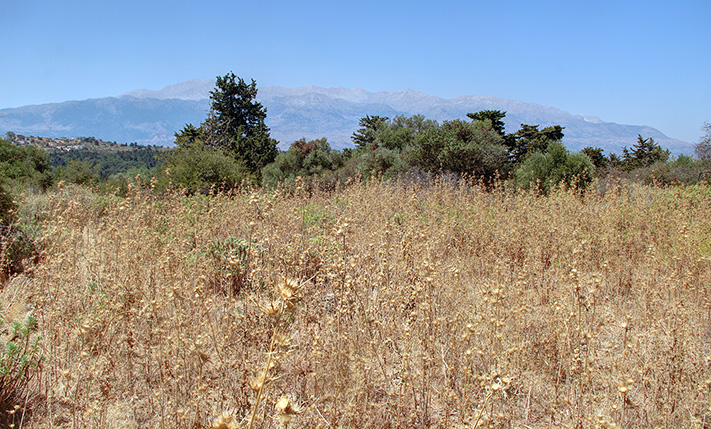 FLACHES ACKERLAND MIT BERGBLICK