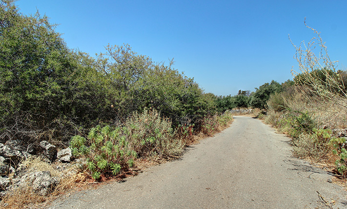ΕΠΙΠΕΔΗ ΑΓΡΟΤΙΚΗ ΕΚΤΑΣΗ ΜΕ ΘΕΑ ΣΤΑ ΛΕΥΚΑ ΟΡΗ