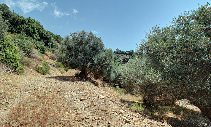 ΠΛΑΓΙΑ ΚΟΝΤΑ ΣΤΗ ΘΑΛΑΣΣΑ & ΘΕΑ ΣΤΟ ΗΛΙΟΒΑΣΙΛΕΜΑ