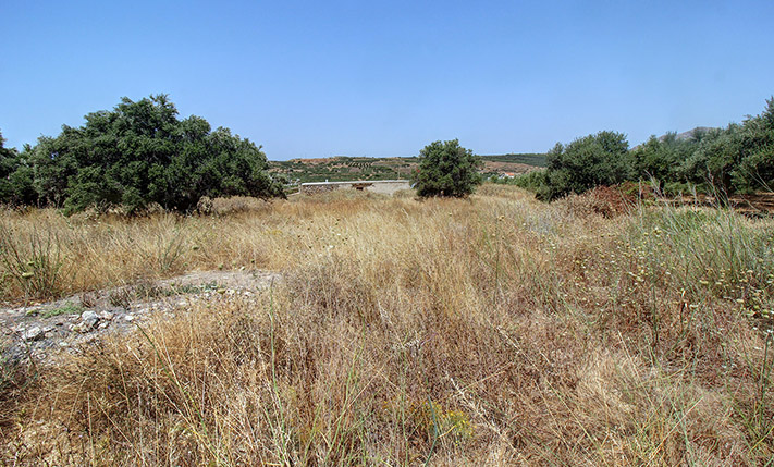 ΟΙΚΟΝΟΜΙΚΟ ΟΙΚΟΠΕΔΟ ΚΟΝΤΑ ΣΤΑ ΦΑΛΑΣΑΡΝΑ