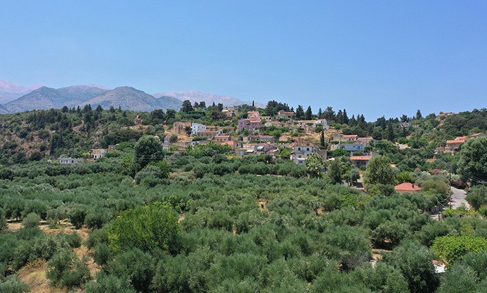 ΕΛΑΙΩΝΑΣ ΜΕ ΓΡΑΦΙΚΗ ΘΕΑ ΑΠΟ ΤΟΝ ΟΡΟΦΟ
