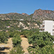 PLS2305 - image 4 PLS2305 - image 4