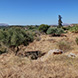 New plot of land for sale
