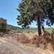 PLS2310 - image 10 PLS2310 - image 10