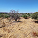 New Land Plot for Sale