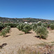 New Land Plot for Sale